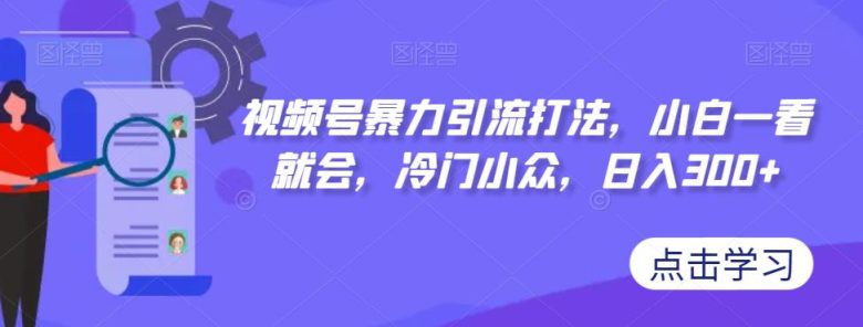 视频号暴力引流打法，小白一看就会，冷门小众，日入300+【揭秘】(视频号暴力引流打法小白也能轻松掌握的冷门小众赚钱技巧)