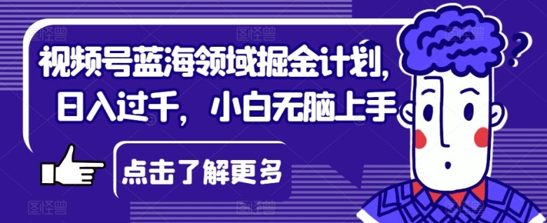 视频号蓝海领域掘金计划，日入过千，小白无脑上手【揭秘】(视频号蓝海领域掘金计划小白也能日入过千的实用指南)