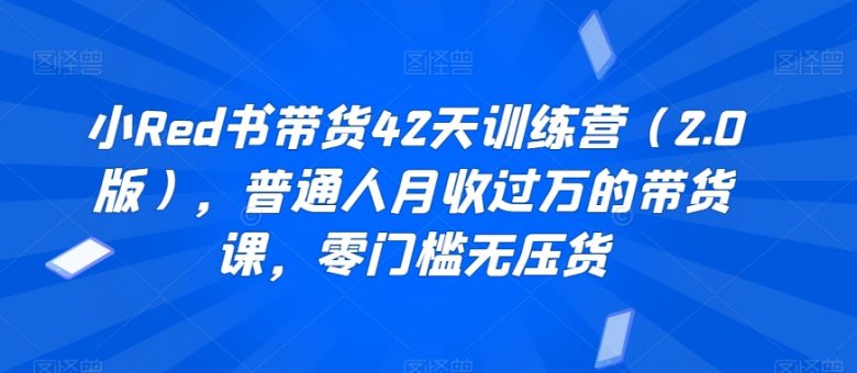 小Red书带货42天训练营(2.0版),普通人月收过万的带货课,零门槛无压货(小Red书带货42天训练营(2.0版)普通人的月入过万带货指南) 小Red书带货42天训练营(2.0版),普通人月收过万的带货课,零门槛无压货(小Red书带货42天训练营(2.0版)普通人的月入过万带货指南)