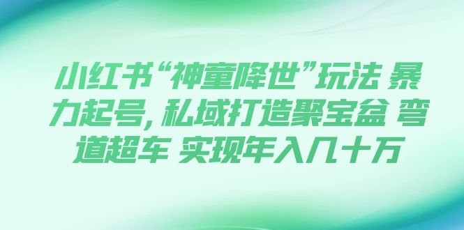 小红书“神童降世”玩法 暴力起号,私域打造聚宝盆 弯道超车 实现年入几十万(《小红书“神童降世”玩法》暴力起号,私域打造聚宝盆,实现年入几十万)