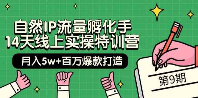 自然IP流量孵化手 14天线上实操特训营【第9期】月入5w+百万爆款打造 (74节) 自然IP流量孵化手 14天线上实操特训营【第9期】月入5w+百万爆款打造 (74节)