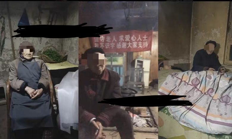 老人直播卖惨撸音浪无人挂机项目【开播教程+老人素材】仅揭秘(揭秘老人直播卖惨撸音浪无人挂机项目情感共鸣驱动的网赚新方式)
