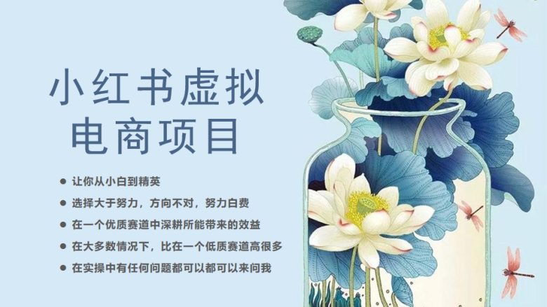 小红书虚拟电商从0到1，让你从小白到精英（20节实操课程）(小红书虚拟电商实操课程从小白到精英的成长之路)