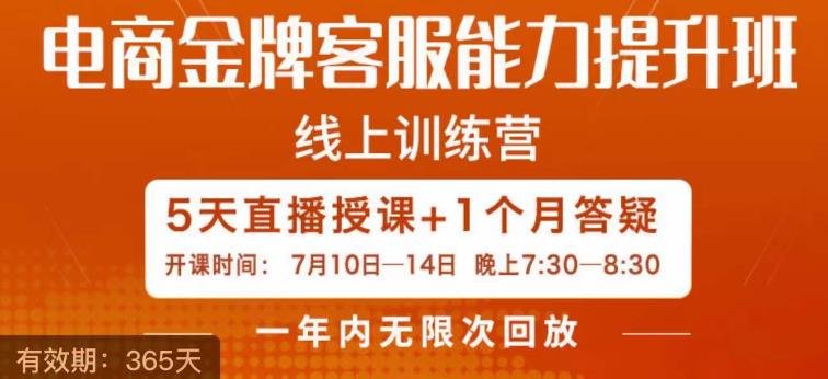 电商金牌客服能力提升班，提升客服能力是你店铺业绩的关键要素(全面提升电商客服能力，助力店铺业绩增长)