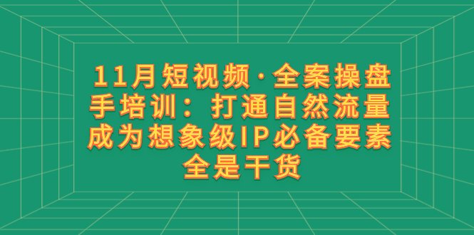 11月短视频·全案操盘手培训:打通自然流量 成为想象级IP必备要素 全是干货(全面掌握短视频全案操盘手技能从IP打造到流量变现一站式学习) 11月短视频·全案操盘手培训:打通自然流量 成为想象级IP必备要素 全是干货(全面掌握短视频全案操盘手技能从IP打造到流量变现一站式学习)