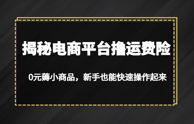揭秘电商平台撸运费险，0元薅小商品，新手也能快速操作起来(“揭秘电商平台撸运费险0元薅小商品，新手也能轻松掌握”)