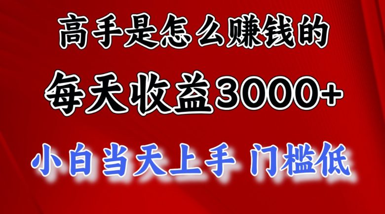 高手是怎么赚钱的，一天收益3000+ 这是穷人逆风翻盘的一个项目，非常稳…