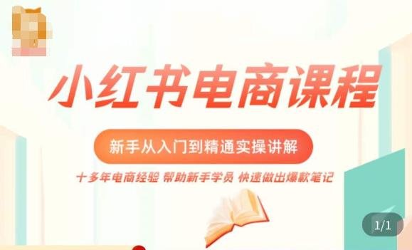 小红书电商新手入门到精通实操课，从入门到精通做爆款笔记，开店运营(全面掌握小红书电商运营技巧，打造爆款笔记与高粉丝账号)