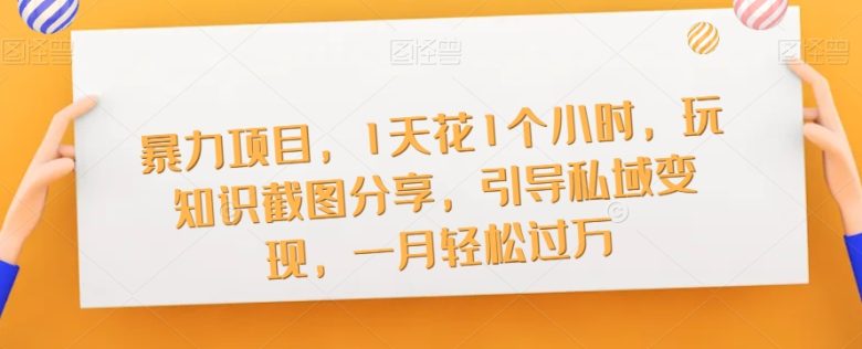 暴力项目，1天花1个小时，玩知识截图分享，引导私域变现，一月轻松过万【截图】(《暴力项目》——轻松副业，一天进账1000+不是梦)