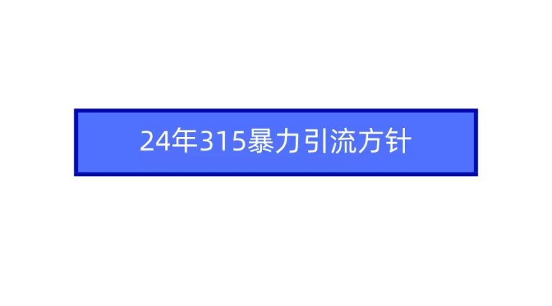 24年315暴力引流方针 24年315暴力引流方针