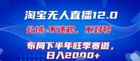 淘宝无人直播12.0,不封号,不违规,布局下半年旺季赛道,日入1k+(独家技术)