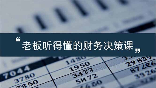 老板能听得懂的财务决策课,报表解读、数据洞察、风险识别,用财务驱动业务增长