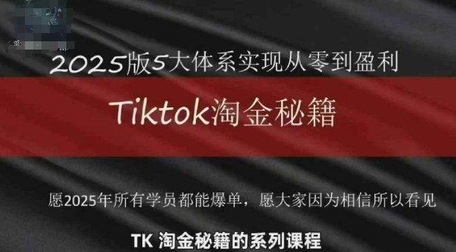 TikTok跨境2025淘金秘籍,2025TikTok从0到盈利变现
