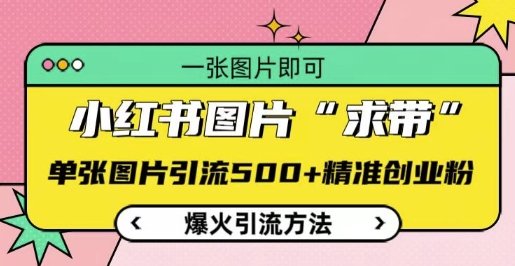 小红书图片‘求带’爆火引流法,单张图片引流500+精准创业粉