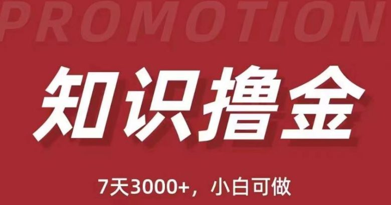 抖音知识撸金项目：简单粗暴日入1000+执行力强当天见收益(教程+资料)(抖音知识撸金项目轻松赚钱，快速见效)