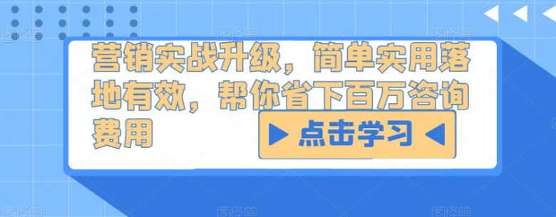 营销实战升级，简单实用落地有效，帮你省下百万咨询费用(探索营销实战升级之道简单实用策略助力企业卓越发展)