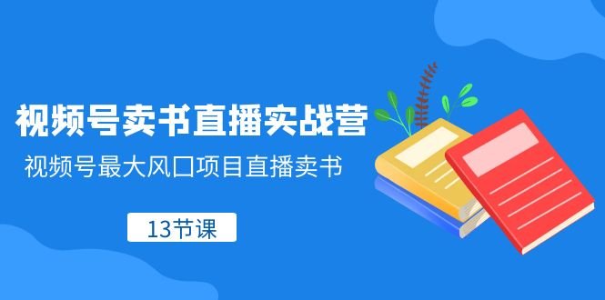 视频号卖书直播实战营，视频号最大风囗项目直播卖书（13节课）(全面掌握视频号直播卖书技巧，打造个人IP成为高价值博主)