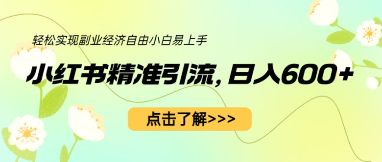 小红书精准引流,小白日入600+,轻松实现副业经济自由(教程+1153G资源)(“小红书精准引流项目小白也能日入600+,轻松实现副业经济自由”)