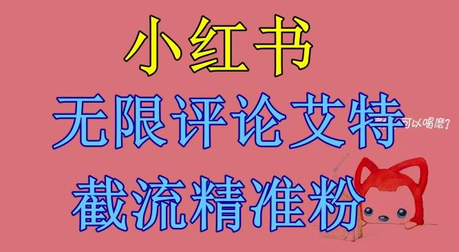 小红书无限评论艾特截流精准粉（软件+教程）(小红书无限评论艾特截流精准粉的实用指南)