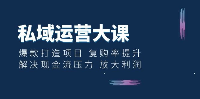 私域运营大课:爆款打造项目 复购率提升 解决现金流压力 放大利润(掌握私域运营秘诀,实现爆款打造与利润最大化)