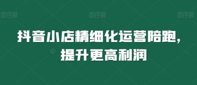 抖音小店精细化运营陪跑,提升更高利润 抖音小店精细化运营陪跑,提升更高利润