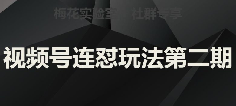 梅花实验室社群视频号连怼玩法第二期，实操讲解全部过程(深度解析梅花实验室社群视频号连怼玩法第二期实操全过程)