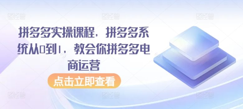 拼多多实操课程,拼多多系统从0到1,教会你拼多多电商运营 拼多多实操课程,拼多多系统从0到1,教会你拼多多电商运营