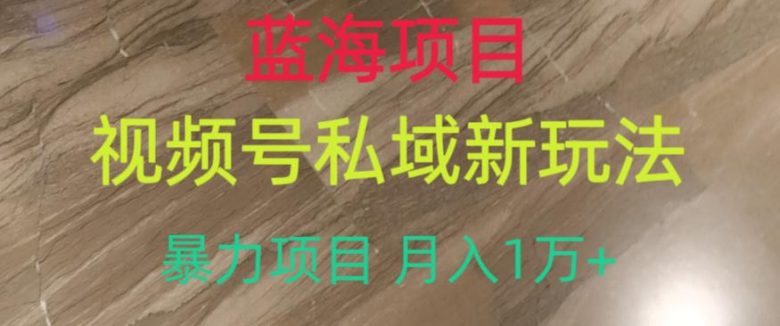 蓝海项目，视频号私域新玩法，暴力项目月入1万+【揭秘】(揭秘视频号私域新玩法蓝海项目月入1万+)