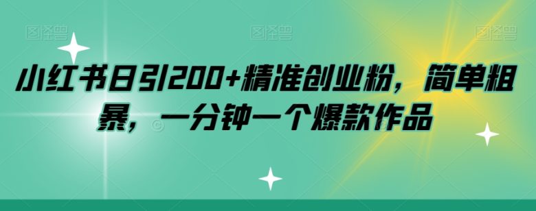 小红书日引200+精准创业粉,简单粗暴,一分钟一个爆款作品【揭秘】(小红书日引200+精准创业粉简单粗暴的一分钟爆款作品制作与变现策略揭秘)