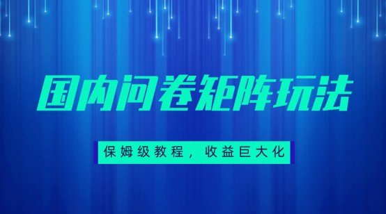 保姆级教程，国内问卷矩阵玩法，轻松赚收益(保姆级教程如何通过国内问卷矩阵玩法轻松赚取收益)