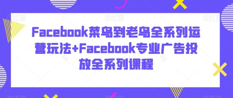 Facebook菜鸟到老鸟全系列运营玩法+Facebook专业广告投放全系列课程 Facebook菜鸟到老鸟全系列运营玩法+Facebook专业广告投放全系列课程