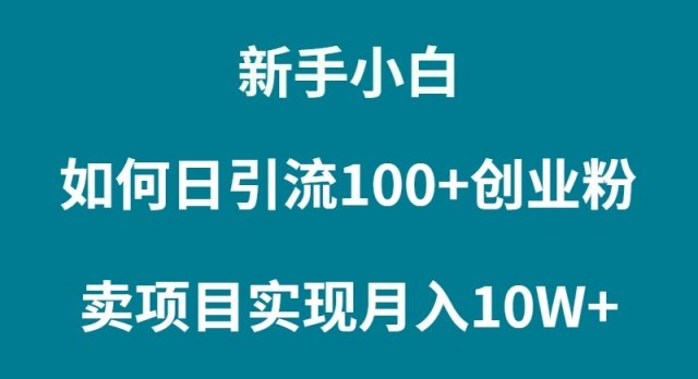 新手小白如何通过卖项目实现月入10W+ 新手小白如何通过卖项目实现月入10W+