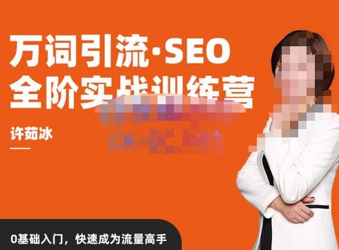 许茹冰·万词引流-SEO全阶实战训练营,0基础入门,快速成为流量高手(全面掌握SEO技能,实现流量快速增长)