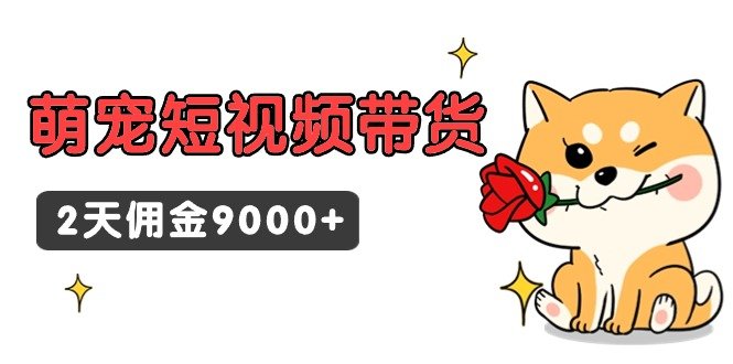 东哲日记·萌宠短视频带货,2天佣金9000+ 东哲日记·萌宠短视频带货,2天佣金9000+