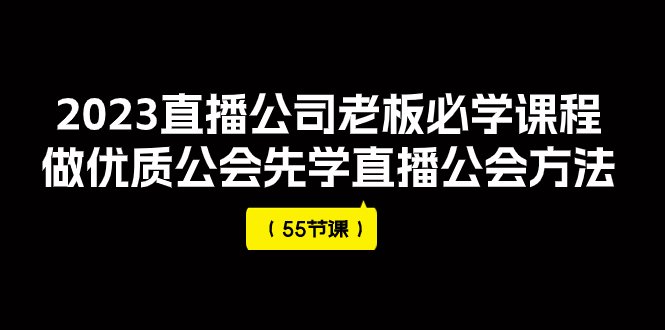 2023直播公司老板必学课程，做优质公会先学直播公会方法（55节课）(全面解析直播公司运营策略与技巧)