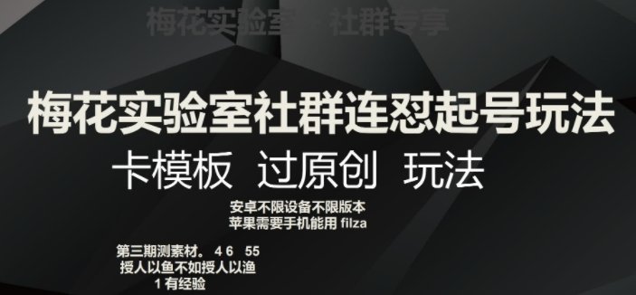 梅花实验室社群连怼起号玩法，卡模板过原创玩法【揭秘】(揭秘梅花实验室社群连怼起号玩法及卡模板过原创技巧)