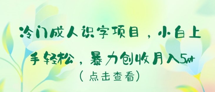 冷门成人识字项目,小白上手轻松,暴力创收月入5w+ 冷门成人识字项目,小白上手轻松,暴力创收月入5w+