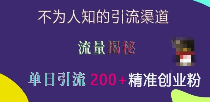 不为人知的引流渠道,流量揭秘,实测单日引流200+精准创业粉