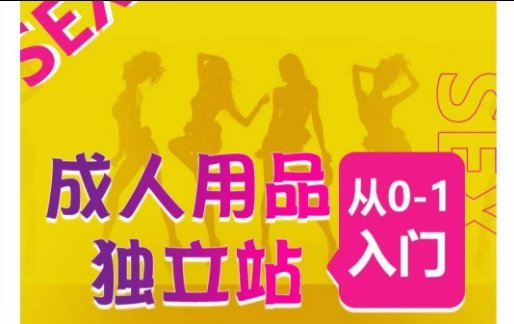 成人用品独立站从0-1入门,成品独立站运营全流程教学,七大好卖成品独立站推荐 成人用品独立站从0-1入门,成品独立站运营全流程教学,七大好卖成品独立站推荐