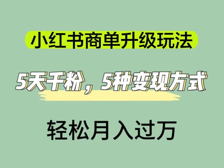 小红书商单升级玩法,5天千粉,5种变现渠道,轻松月入1万+(小红书商单升级攻略5天千粉,5种变现渠道助你轻松月入过万)