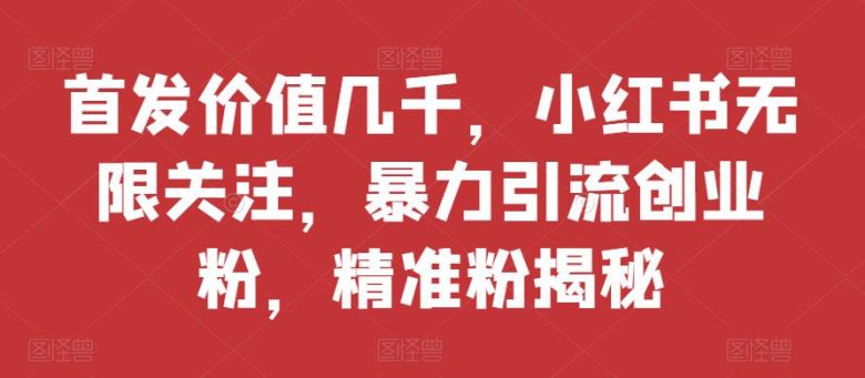 首发价值几千，小红书无限关注，暴力引流创业粉，精准粉揭秘(小红书暴力引流创业粉神器——mp3457期)