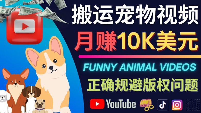 搬运TIKTOK视频到YouTube，并进行二次创作，月赚1万美元以上(“宠物短视频的搬运与创新月赚1万美元以上的YouTube赚钱技巧”)