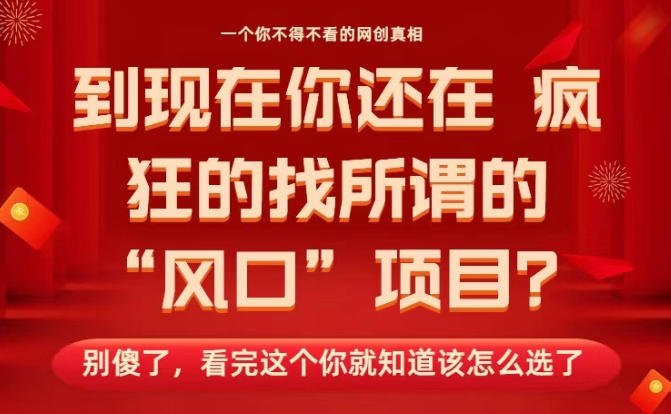 马上26年了,你还在找所谓的风口项目?别傻了,看完这个你全都懂了!