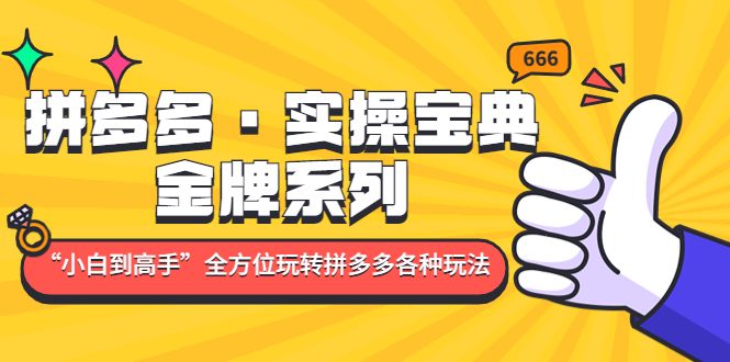 拼多多·实操宝典：金牌系列“小白到高手”带你全方位玩转拼多多各种玩法(全方位解析拼多多运营策略，助你从小白到高手)