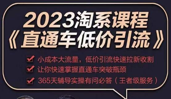 2023直通车低价引流玩法课程小成本大流量,快速拉新收割”) 2023直通车低价引流玩法课程小成本大流量,快速拉新收割”)