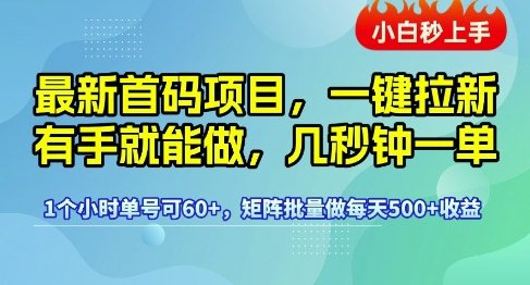 最新首码项目,一键拉新有手就能做,几秒钟一单,1个小时单号可60+,矩阵批量做每天5张