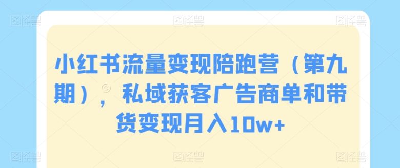 ，私域获客广告商单和带货变现月入10w+