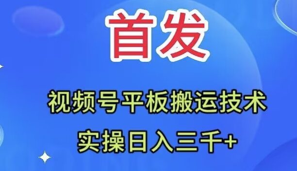全网首发：视频号平板搬运技术，实操日入三千＋(探索视频号平板搬运技术，实现日入三千＋的新途径)
