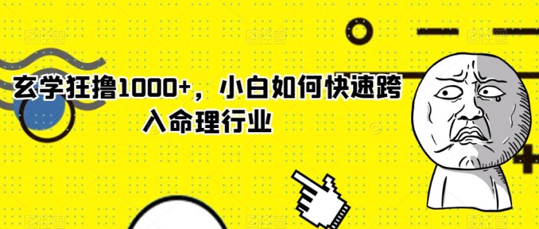 玄学狂撸1000+，小白如何快速跨入命理行业【揭秘】(玄学入门指南小白如何快速成为命理行业专家)