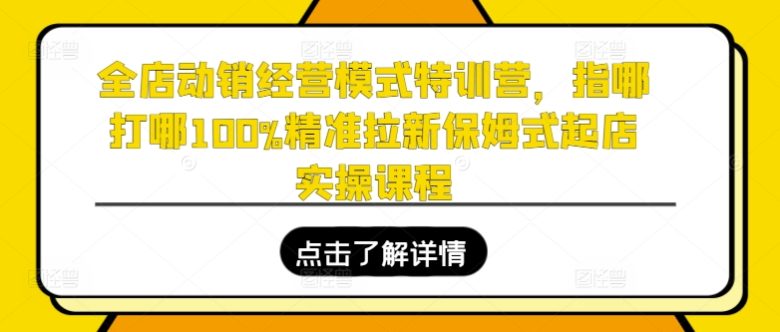 全店动销经营模式特训营,指哪打哪100%精准拉新保姆式起店实操课程 全店动销经营模式特训营,指哪打哪100%精准拉新保姆式起店实操课程
